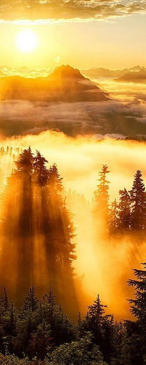 Пример изображения для макета изображения на стекле, фото 15